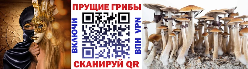 Псилоцибиновые грибы Psilocybine cubensis  Игра 